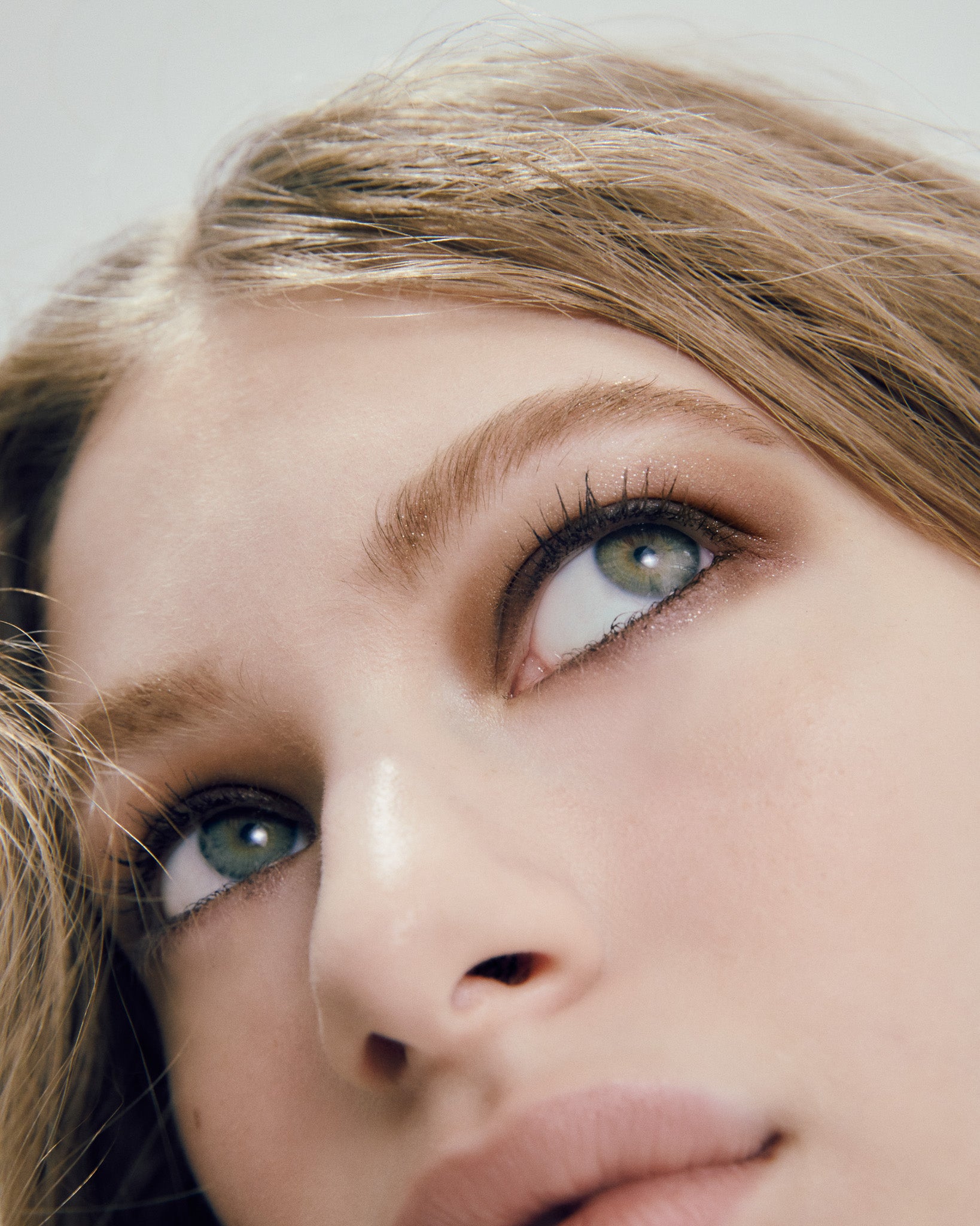 Eyebrow Shimmering Powder 01 : Silent Reflection