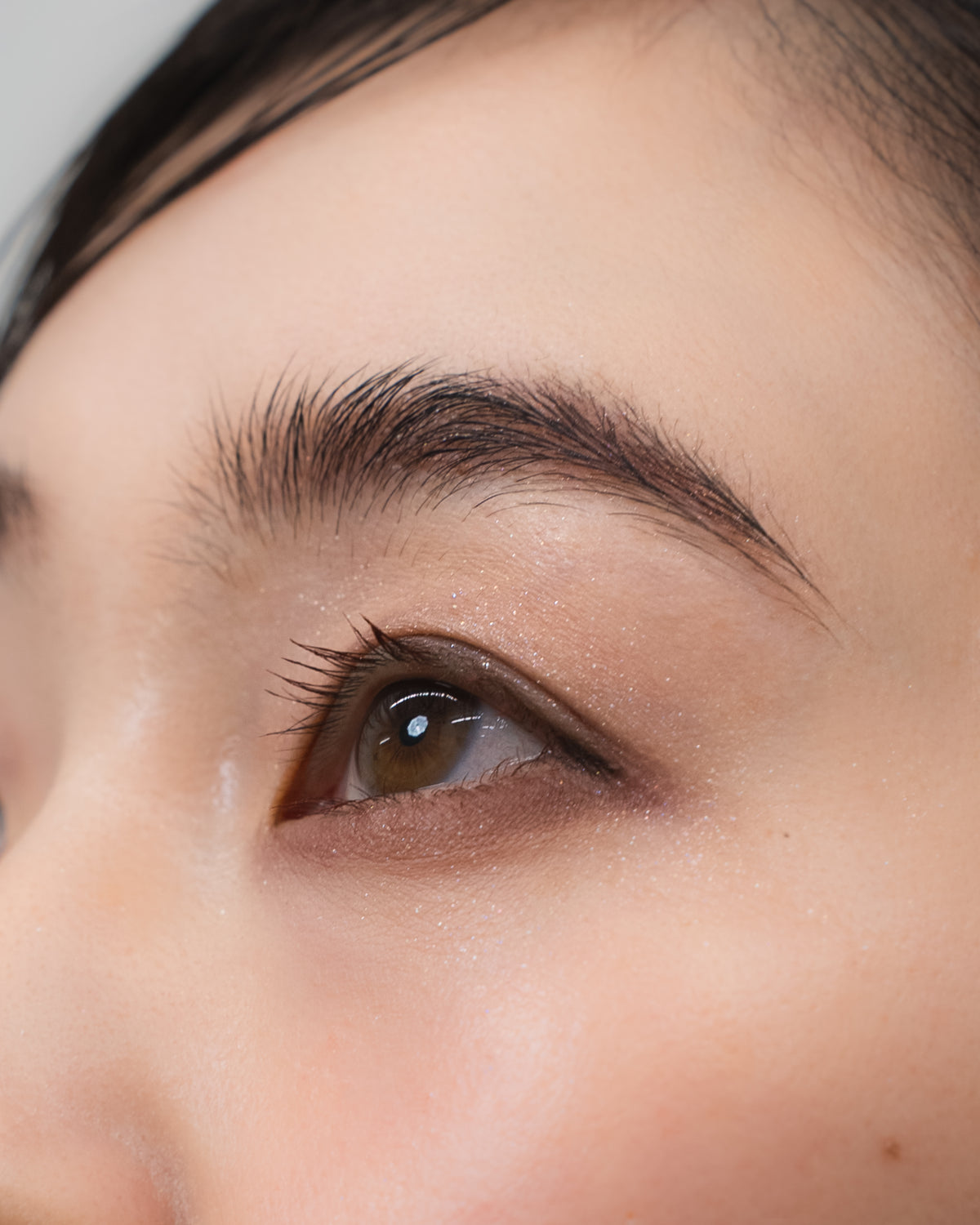 Eyebrow Shimmering Powder 02 : Urban Nostalgia